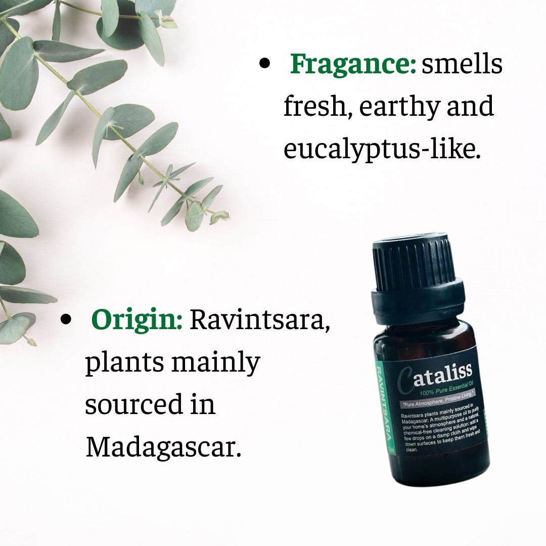 Ravintsara Pure Essential Oil 10mL