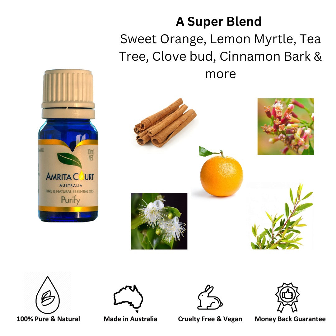 Gift Box - Aroma Necklace 925 Silver, Gold coated includes Purify Oil Blend